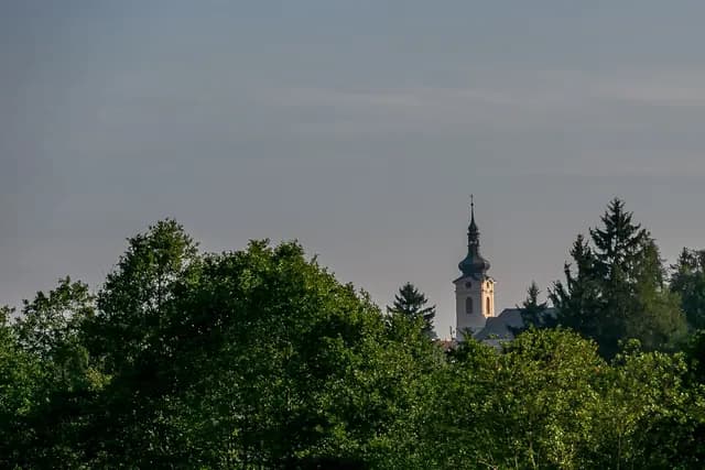 Architektura