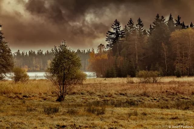 Krajina a příroda
