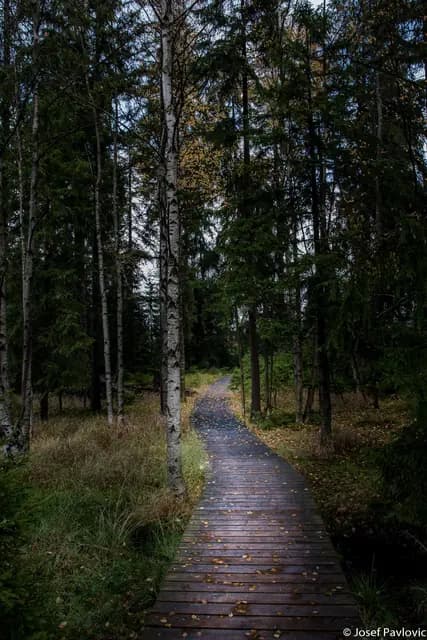 Krajina a příroda
