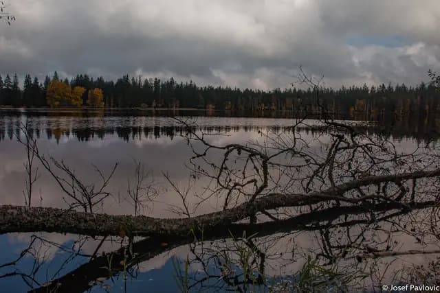 Krajina a příroda