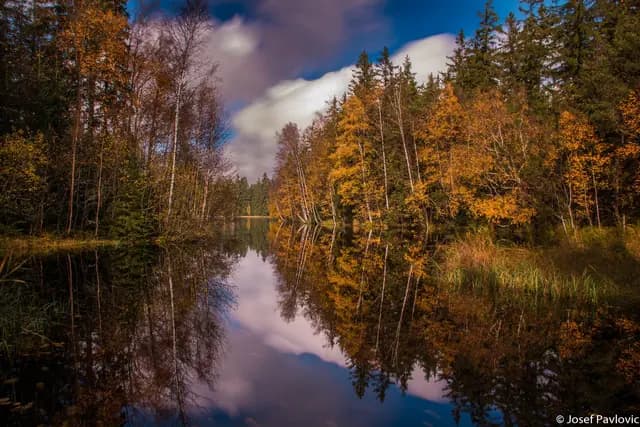 Krajina a příroda